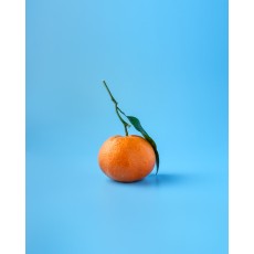 고당도 제주 감귤 5kg