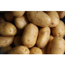 의성 6쪽마늘 1kg