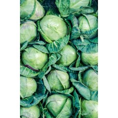 청양 특산 고추 1kg